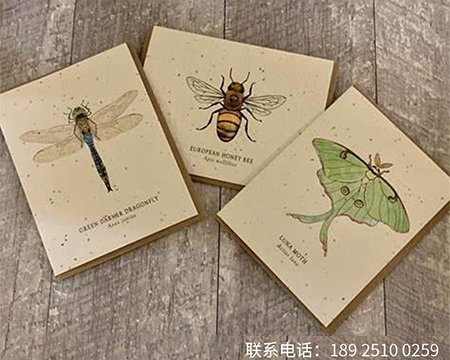 种子纸折叠贺卡