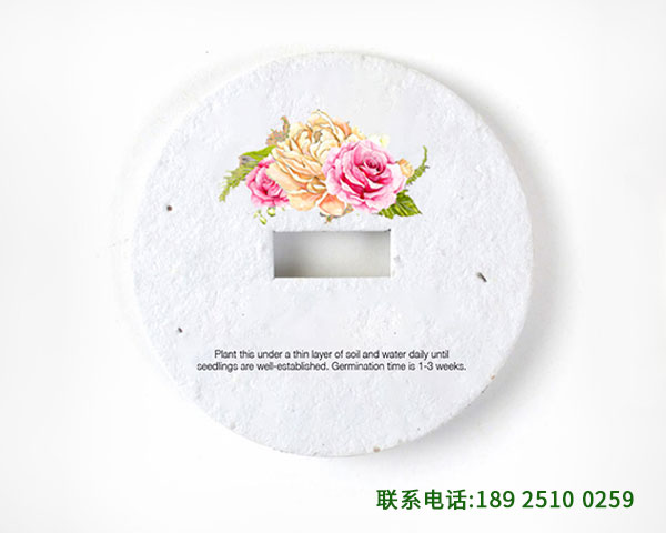 种子纸蜡烛防尘罩