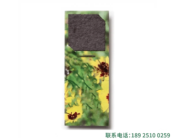书签种子纸