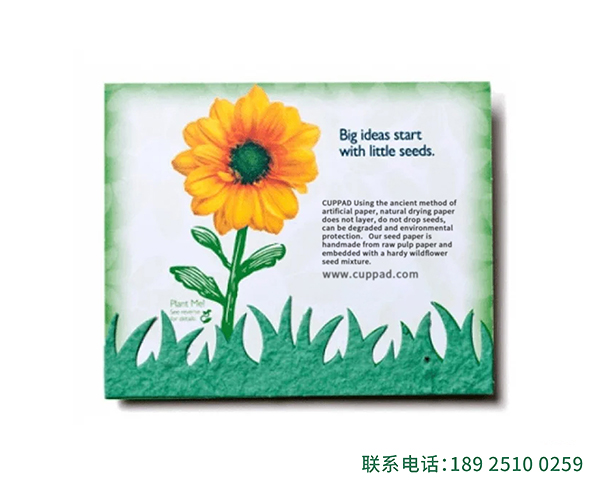 文创绿色纸制品种子纸