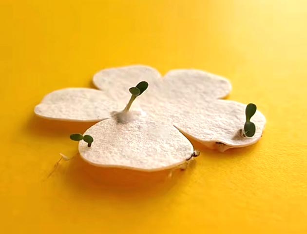 发芽开花种子纸 手环吊牌卡纸