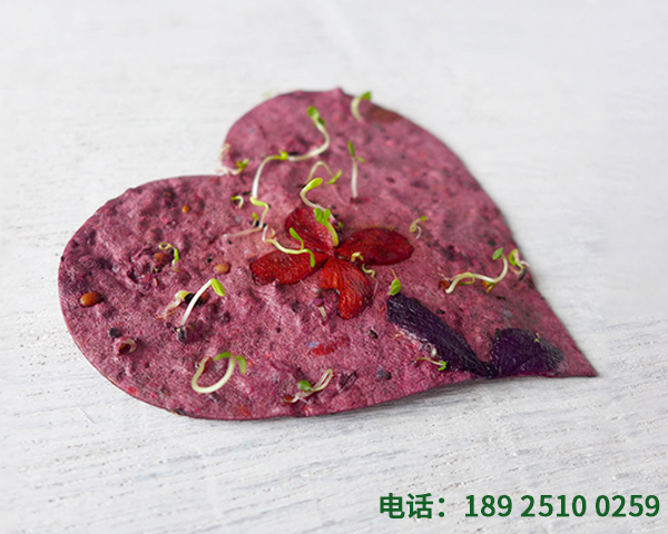 定制种子纸心形卡套装产品