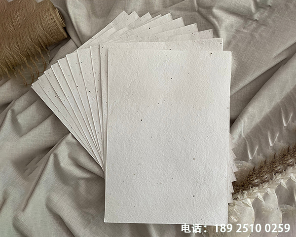 种子纸纸张 生芽纸