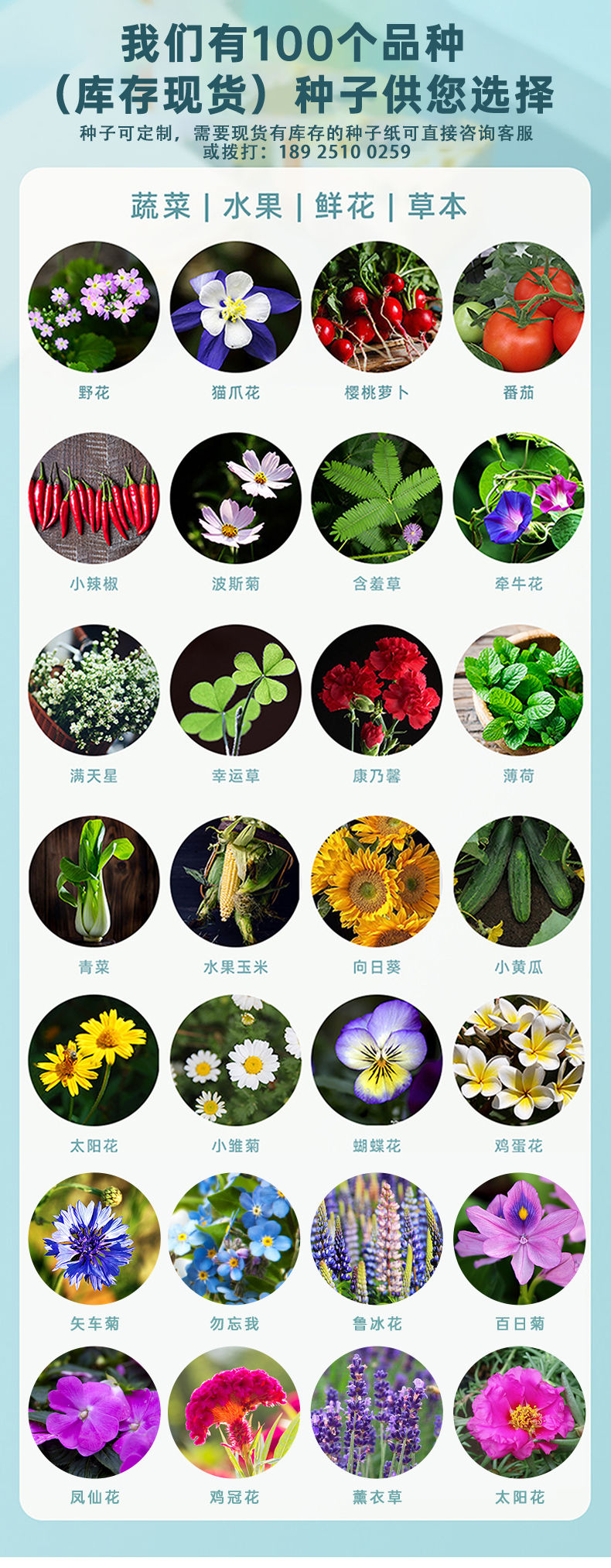 中文详情 (7).jpg