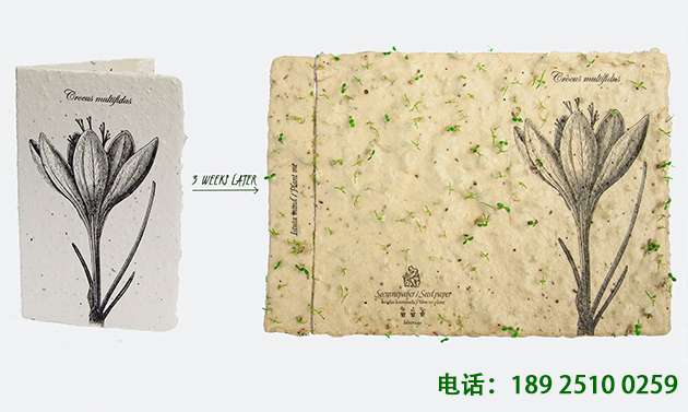 环保是一种态度，也是一种生活方式
