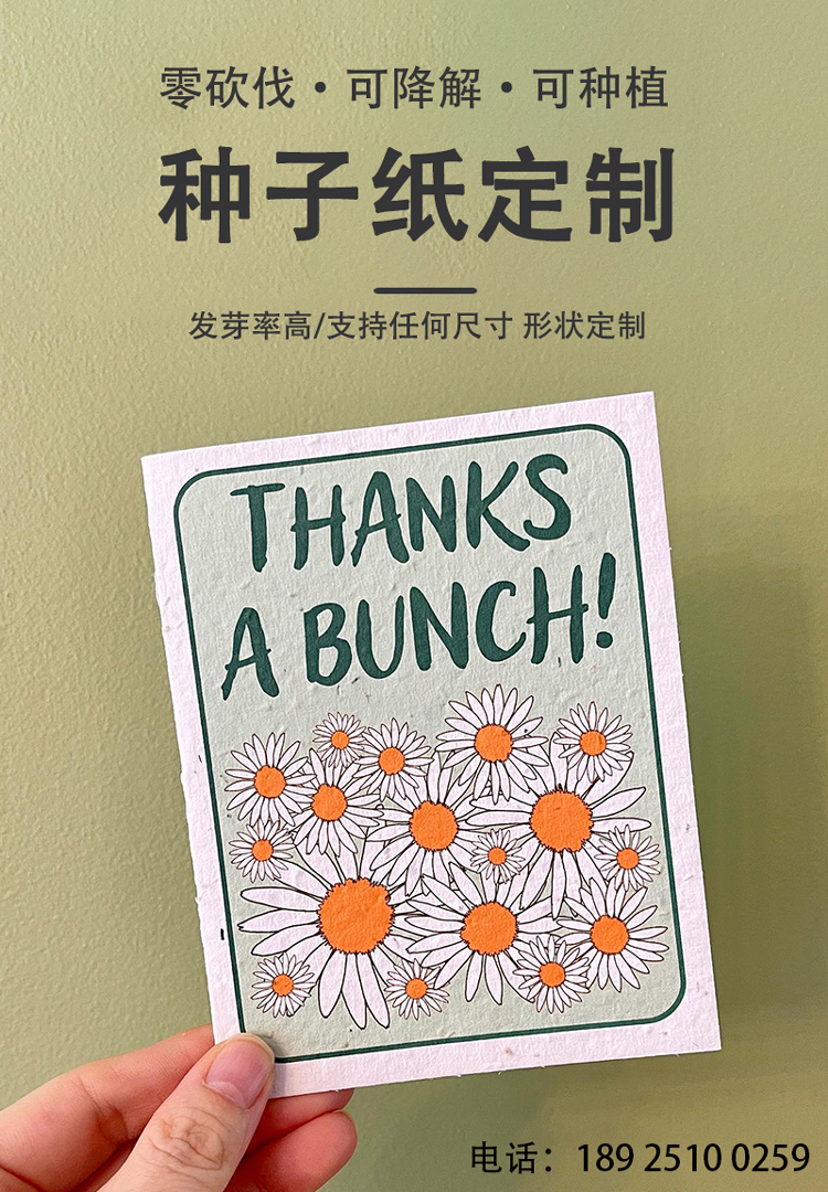 种子纸枕头盒首图.jpg