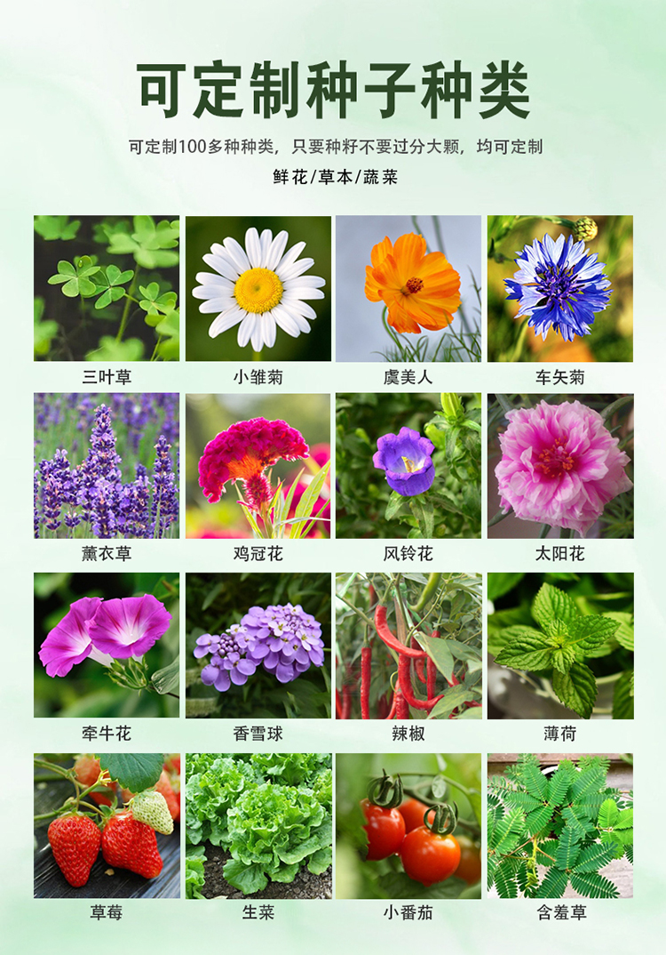 国内站_07.jpg