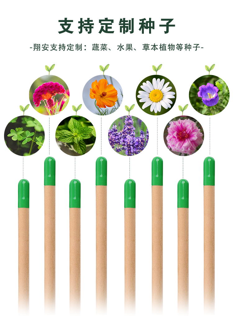 可种植笔详情-有腾_06.jpg