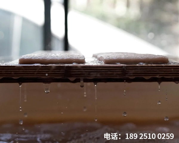 6种无树可持续纸张将帮助您减少浪费和污染