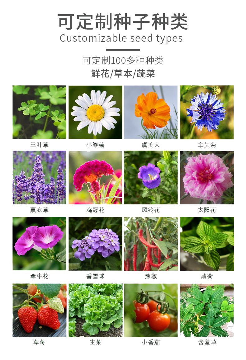 吊牌1_06.jpg