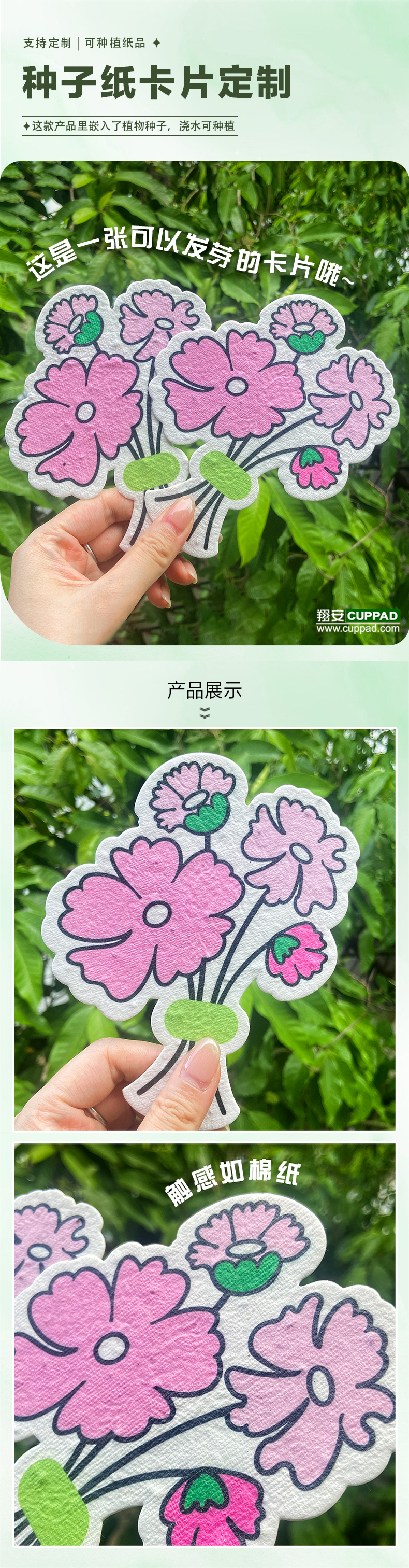 0122种子纸卡片-中文.jpg